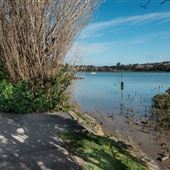 Spinnaker Reserve