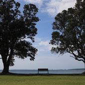 Narrow Neck Beach