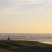 Karioitahi Beach