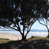 Te Ārai Regional Park