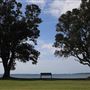 Narrow Neck Beach