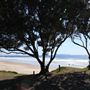 Te Ārai Regional Park