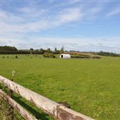 Pukekohe - Rural