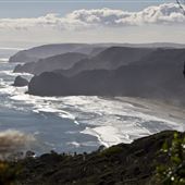 Muriwai Beach