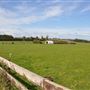 Pukekohe - Rural