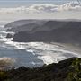 Muriwai Beach