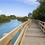 Meola Reef Reserve