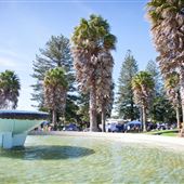 Jellicoe Park