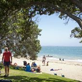 Kohimarama Beach