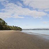 Point Chevalier Beach
