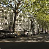 Greys Avenue