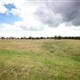 Lloyd Elsmore Park