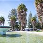 Jellicoe Park