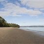 Point Chevalier Beach