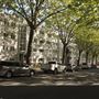 Greys Avenue