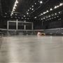 Spark Arena