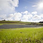 Warkworth (Showgrounds, Boardwalk)