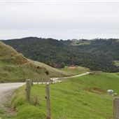 Kauri Valley Farm