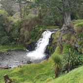 Waitangi Falls Reserve