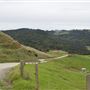 Kauri Valley Farm