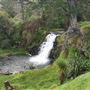 Waitangi Falls Reserve