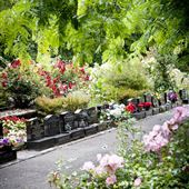 Auckland Botanic Gardens