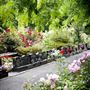 Auckland Botanic Gardens