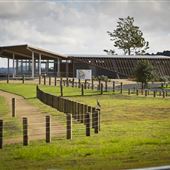Sanders Reserve and Bike Park