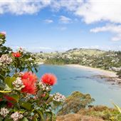 Waiheke Island