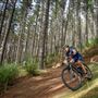 Woodhill Forest