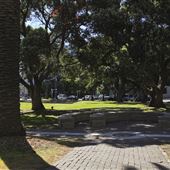 Māhuhu ki te Rangi Reserve