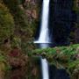 Hunua Ranges