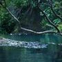 Waitakere Ranges