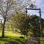 Grey Lynn Park