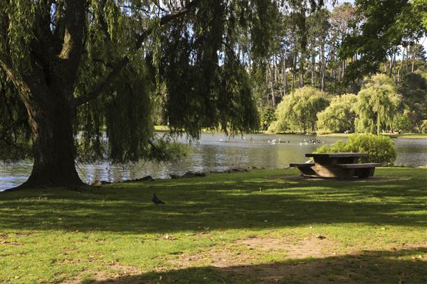Western Springs Park