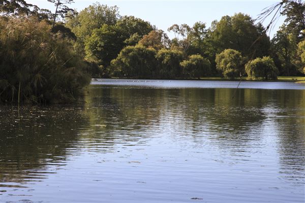 Western Springs Park