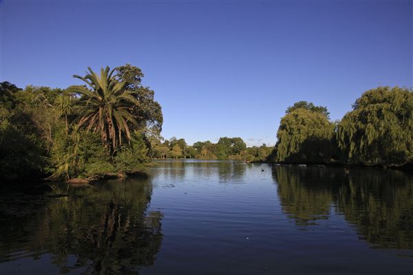 Western Springs Park