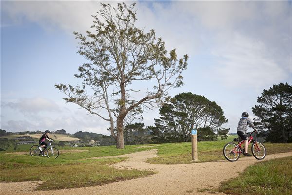 Sanders Reserve and Bike Park