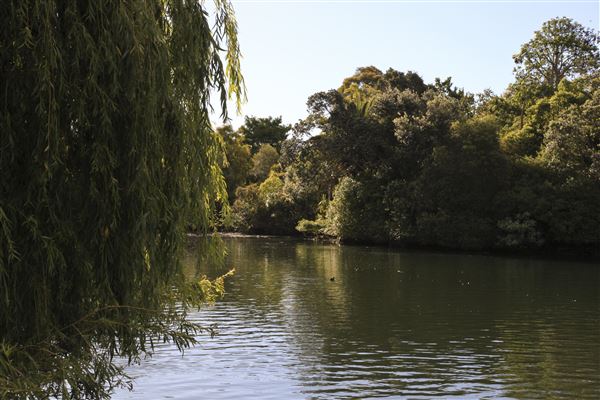 Western Springs Park