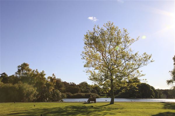 Western Springs Park