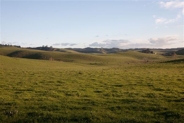 Kawakawa Bay