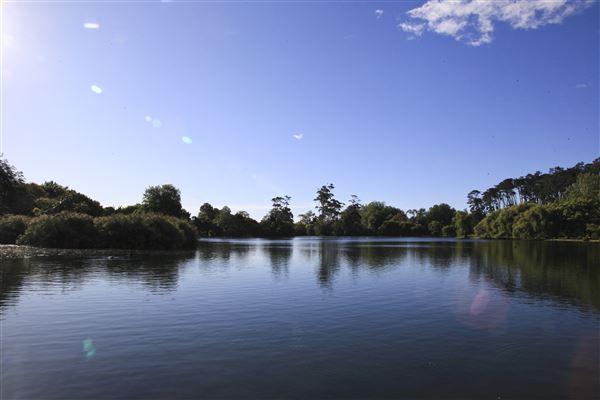 Western Springs Park