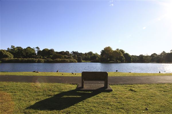 Western Springs Park