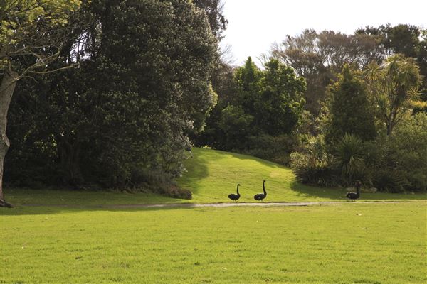 Western Springs Park