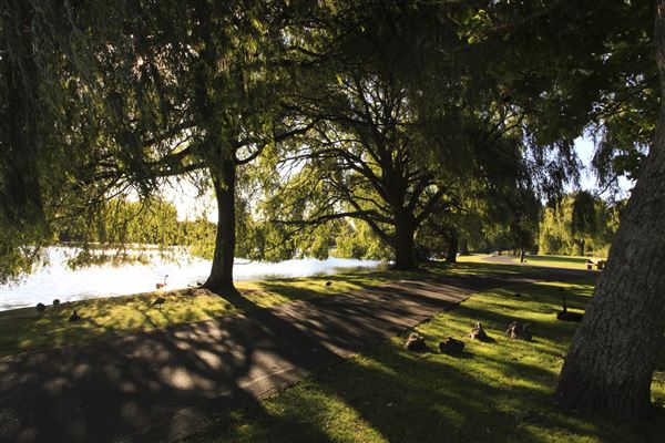 Western Springs Park
