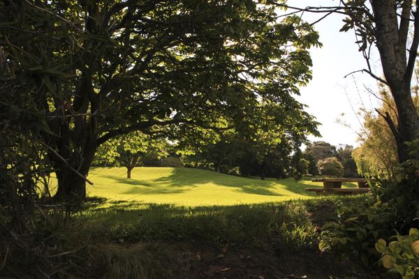 Western Springs Park