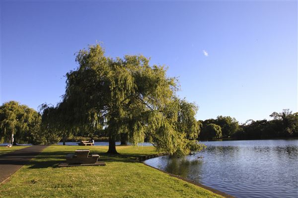 Western Springs Park