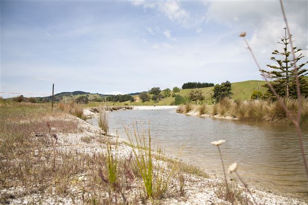 Kawakawa Bay