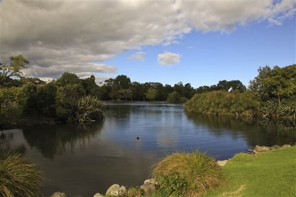 Western Springs Park