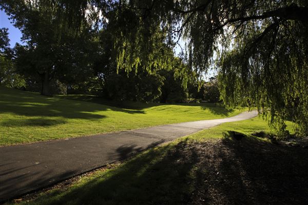 Western Springs Park